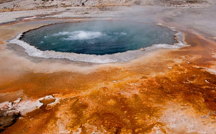 Crested Pool 6638.jpg